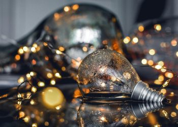 Close-Up Photography of Bulb on Water