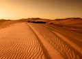 Brown Desert