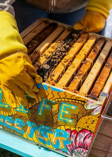 Brown Wooden Crate With Bees