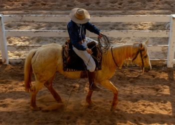 Brazilian Cowboy Riding Horse in Arena