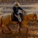 Brazilian Cowboy Riding Horse in Arena