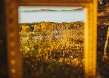 Harnessing the Power of Metaphors and Similes in Prose