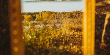 Harnessing the Power of Metaphors and Similes in Prose