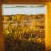 Harnessing the Power of Metaphors and Similes in Prose