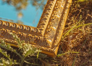Book Signings to Look Forward to This Month