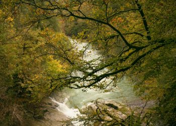 Scenic Autumn River View in Chavanod Forest