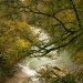 Scenic Autumn River View in Chavanod Forest