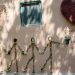 Choosing Between First and Third Person Perspective