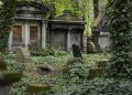 Graveyard on Forest Covered With Grasses