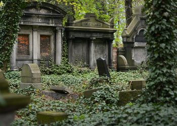 Graveyard on Forest Covered With Grasses