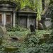 Graveyard on Forest Covered With Grasses
