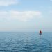 Orange Sailboat on Body of Water